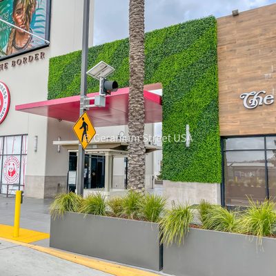Commercial exterior greenery