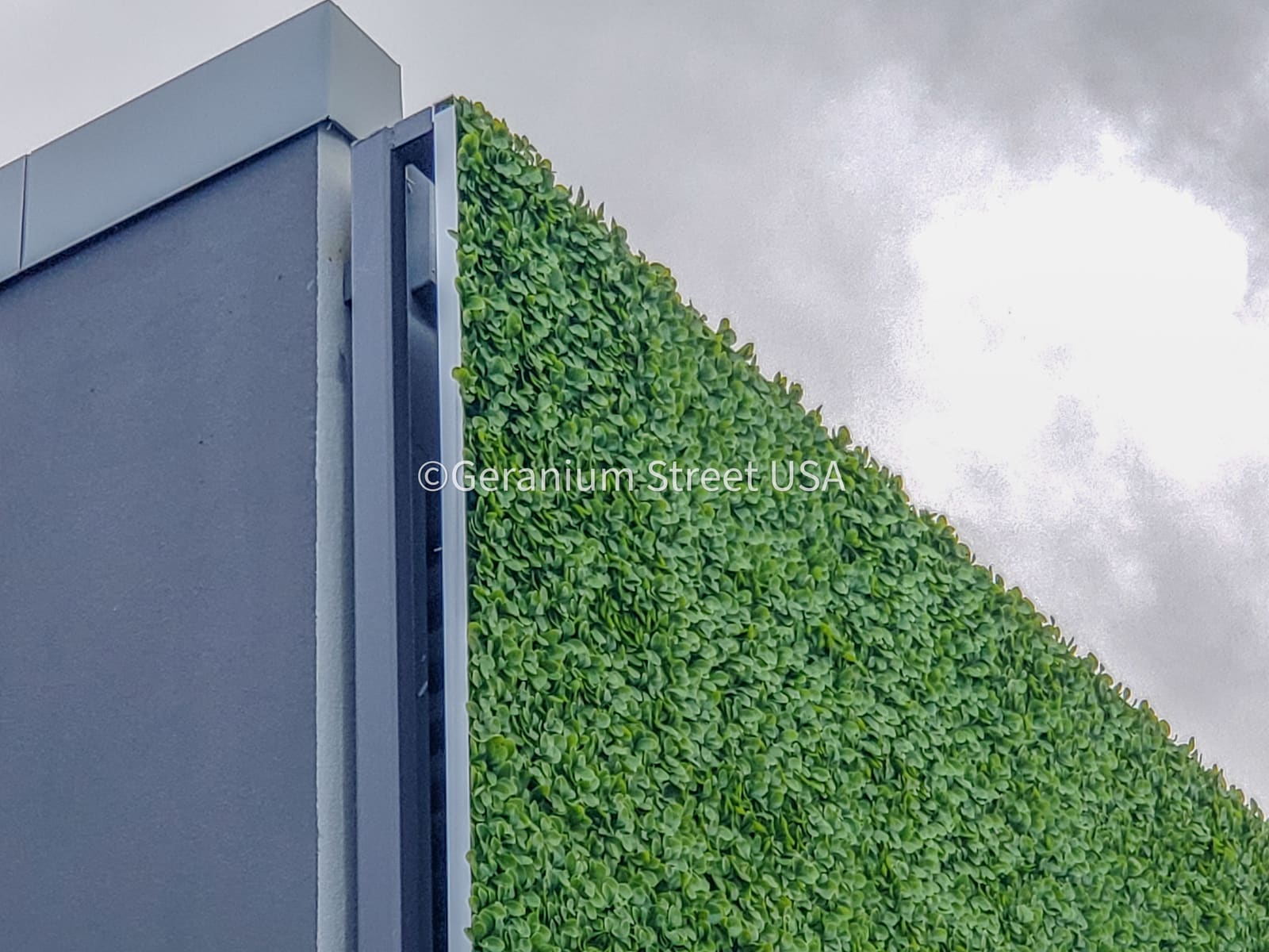 Custom artificial living wall installation